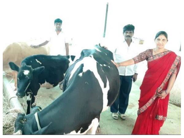 ಮಗನ ಕೃಷಿ ಕೆಲಸಕ್ಕೆ ತಂದೆ ತಾಯಿ ಸಾಥ್