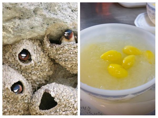 ಸ್ವಾಲೋಸ್ ನೆಸ್ಟ್ ಸೂಪ್