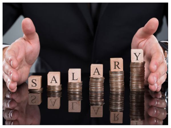 ಇ-ಕಾಮರ್ಸ್ ಮತ್ತು ಸ್ಟಾರ್ಟ್‌ಅಪ್ ಸಂಸ್ಥೆಗಳಲ್ಲಿ ಸಂಬಳ ಹೆಚ್ಚಳ