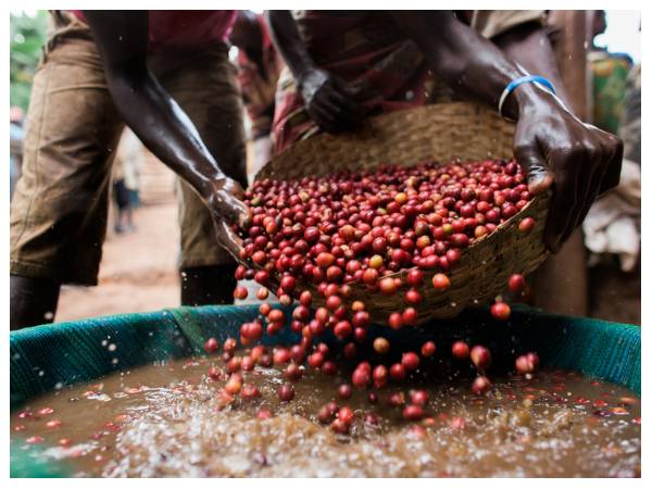 7 ವರ್ಷದ ಬಳಿಕ 10 ಸಾವಿರ ಗಡಿ ದಾಟಿದ ಬೆಲೆ