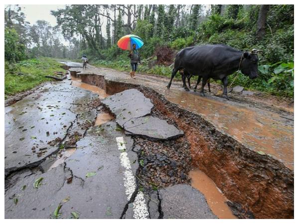 ಬೆಲೆ ಹೆಚ್ಚಿದ್ದರೂ,  ಬೆಳೆ ಇಲ್ಲದ ಸ್ಥಿತಿ