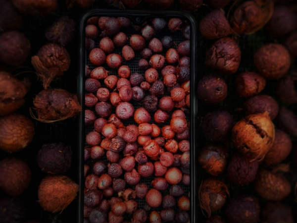 ಅಡಿಕೆ ಬೆಳೆಗಾರರಿಗೆ ಬಡ್ಡಿ ವಿನಾಯಿತಿ