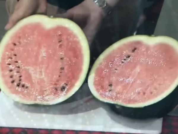 ಡೆನ್ಸುಕ್ ಕಲ್ಲಂಗಡಿ 