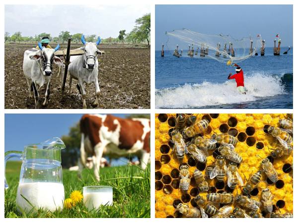 ಉತ್ಪಾದನಾ ವಲಯದಲ್ಲಿ ಕುಸಿತ