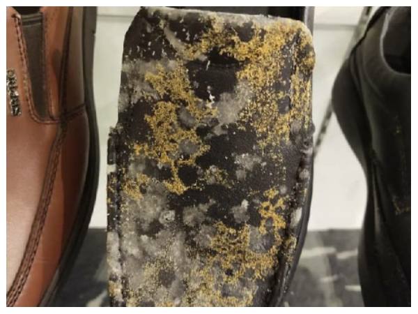 ಲಾಕ್‌ಡೌನ್‌ನಿಂದ ಶಾಪಿಂಗ್ ಮಾಲ್‌ವೊಂದರ ಪರಿಸ್ಥಿತಿ ನೋಡಿ!