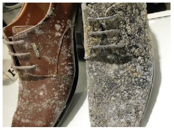 ಲಾಕ್‌ಡೌನ್‌ನಿಂದ ಶಾಪಿಂಗ್ ಮಾಲ್‌ವೊಂದರ ಪರಿಸ್ಥಿತಿ ನೋಡಿ!