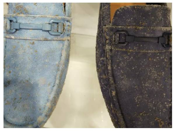 ಲಾಕ್‌ಡೌನ್‌ನಿಂದ ಶಾಪಿಂಗ್ ಮಾಲ್‌ವೊಂದರ ಪರಿಸ್ಥಿತಿ ನೋಡಿ!