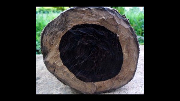 ಪಾಲಿಶ್ ಮಾಡಿದ ಮೇಲೆ ಚೆಲುವೋ ಚೆಲುವು 