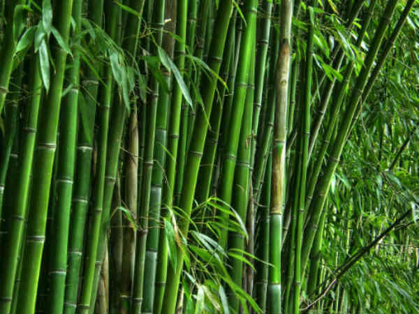 ಬಜೆಟ್‌ನಲ್ಲಿ  ನಿರ್ಮಲಾ ಸೀತಾರಾಮನ್ ಪ್ರಸ್ತಾಪಿಸಿದ್ದರು