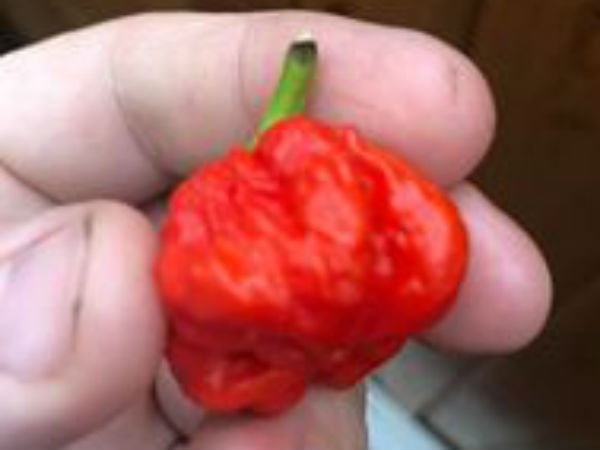 ಮೆಣಸು ತಿನ್ನೋ ಸ್ಪರ್ಧೆಯಲ್ಲಿ ವ್ಯಕ್ತಿ ಆಸ್ಪತ್ರೆಗೆ ದಾಖಲು