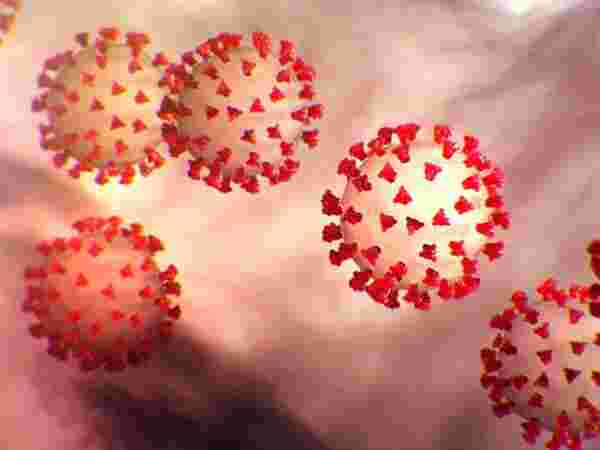 ಗರಿಗೆದರಿದ ಆರ್ಥಿಕ ಚಟುವಟಿಕೆಗಳು