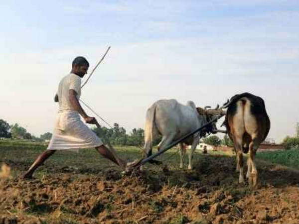 ಲ್ಯಾಂಡ್ ಅಡಿಟ್ ಕಮಿಟಿ