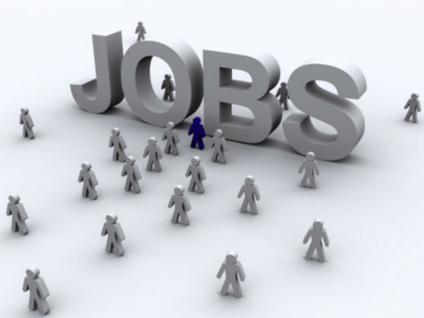 ಪೋರ್ಟಲ್ ಹೇಗೆ ಕೆಲಸ ಮಾಡುತ್ತದೆ?