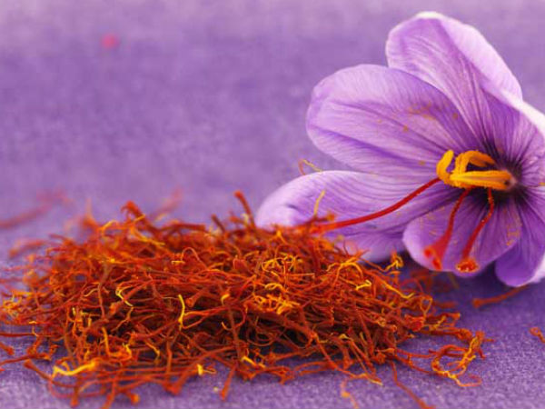 ಕೇಸರಿಯ ಮೂಲ ಸ್ಪೇನ್ ನಲ್ಲಿ