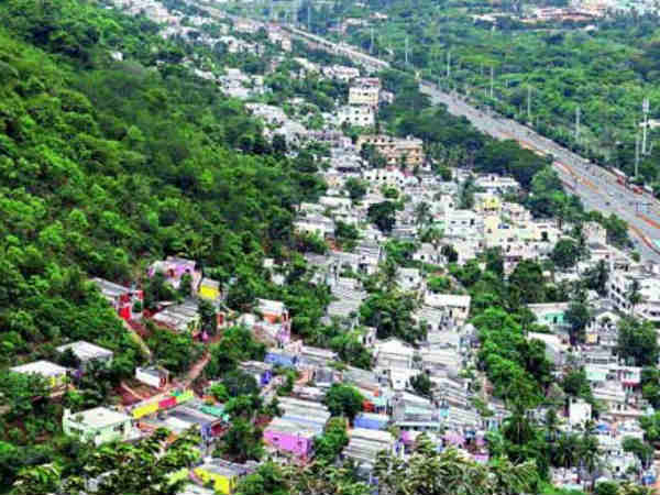 ಶೇಕಡಾ 98 ರಷ್ಟು ಕುಸಿದಿದ್ದು ಕಂಡು ಬಂದಿದೆ