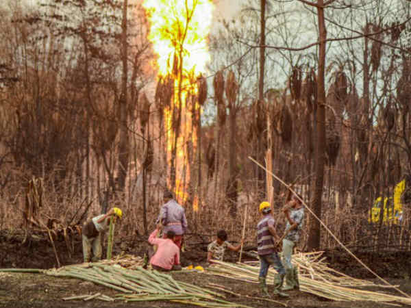 ಬೆಂಕಿಯನ್ನು ನಂದಿಸುವ ಪ್ರಯತ್ನವನ್ನು ತೀವ್ರಗೊಳಿಸಿದ್ದಾರೆ