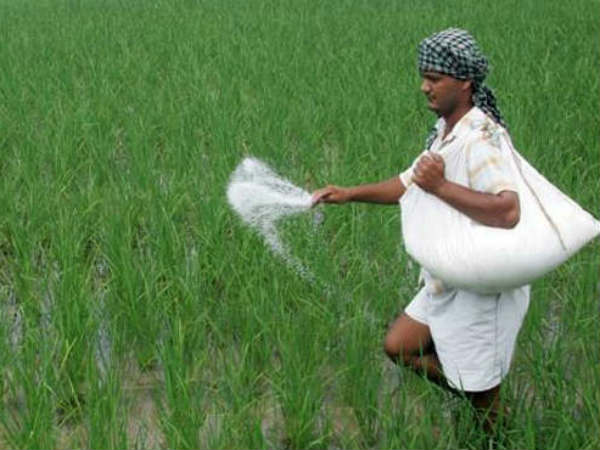 ಈ ವರ್ಷ ಉತ್ತಮ ಮಳೆ