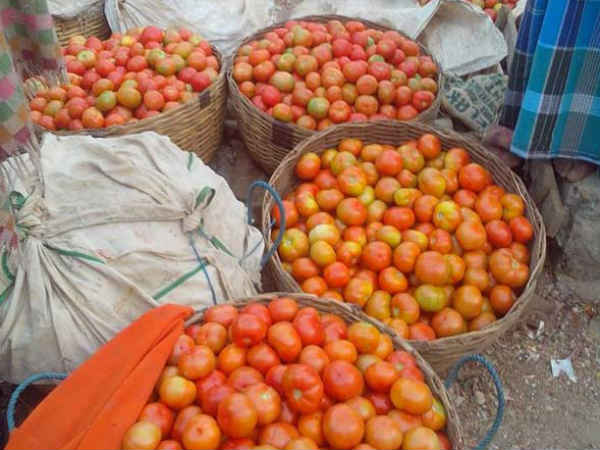 ಟೊಮೊಟೊ ಬೆಲೆ ಎಷ್ಟು?