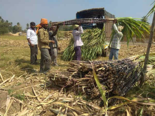 ವಾಸ್ತವಿಕವಾಗಿ ನೀರಿನ ರಫ್ತಿಗೆ ಕಾರಣವಾಗುತ್ತದೆ