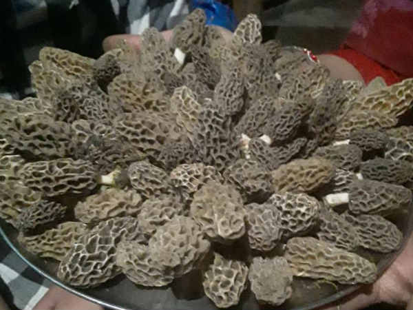 ಬಿಸಿ ನೀರಿನಲ್ಲಿ ಚೆನ್ನಾಗಿ ತೊಳೆಯಬೇಕು