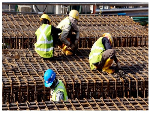 ಡಿಎಫ್‌ಐ ಕಾರ್ಯವೇನು?