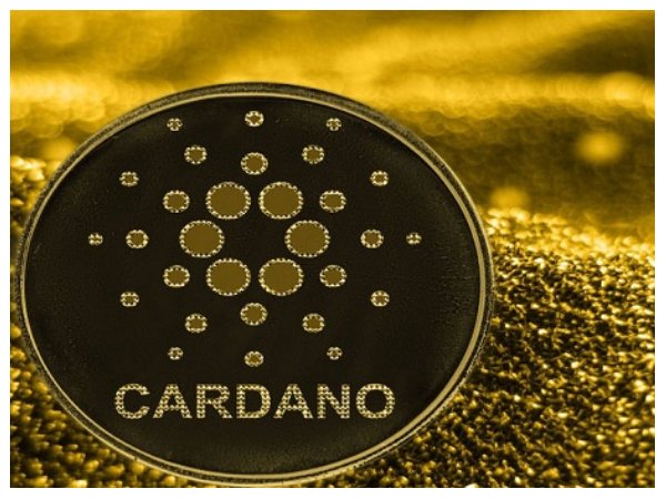 ಕಾರ್ಡಾನೊ