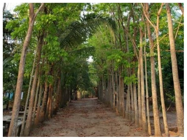 ಆರ್ಗ್ಯಾನಿಕ್ ಕೃಷಿ ಇರಲಿದೆ