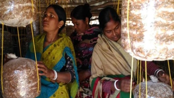 ರಾಷ್ಟ್ರೀಯ ಗ್ರಾಮೀಣ ಜೀವನೋಪಾಯ ಮಿಷನ್