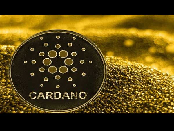 ಕಾರ್ಡಾನೊ