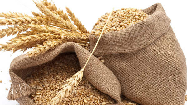 ದ್ವಿದಳ ಧಾನ್ಯಗಳು