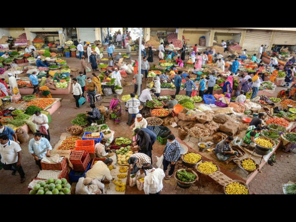  ಏಕದಳ ಧಾನ್ಯಗಳು