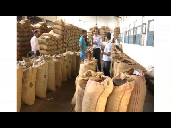 ಏಕದಳ ಧಾನ್ಯಗಳು