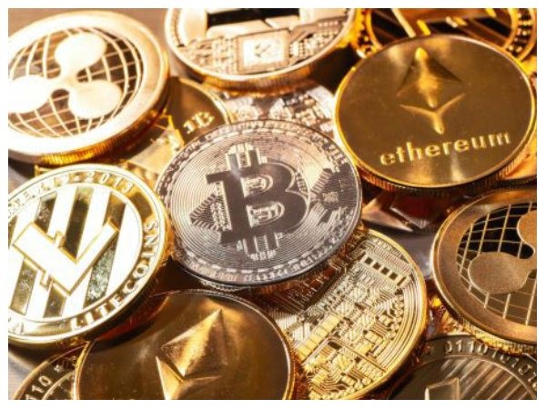 ಕಾರ್ಡಾನೊ 