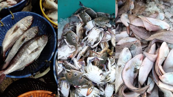 ಜನವರಿ 28ರ ಮೀನು, ತರಕಾರಿ, ರಬ್ಬರ್  ಹಾಗೂ ರಸಗೊಬ್ಬರ ಪೇಟೆ ಧಾರಣೆ