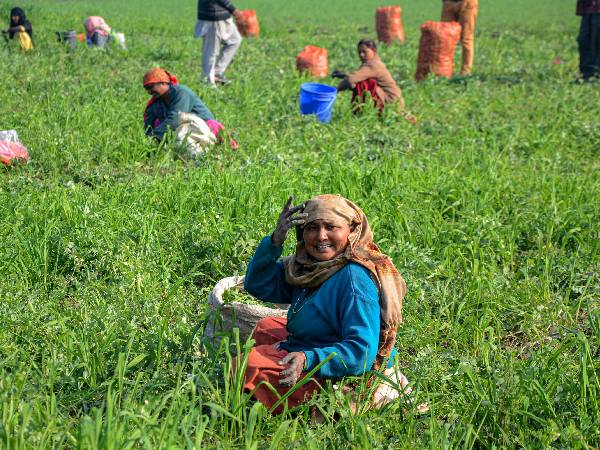ಕೃಷಿ ವಲಯಕ್ಕೆ ನೀಡಿದ ಕೊಡುಗೆ 