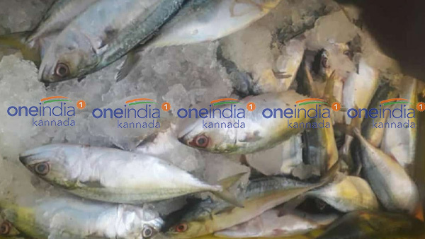 ಮಾರ್ಚ್ 02ರ ಮೀನು, ತರಕಾರಿ, ರಬ್ಬರ್ ಹಾಗೂ ರಸಗೊಬ್ಬರ ಪೇಟೆ ಧಾರಣೆ ಮಾರ್ಚ್ 02ರ ಮೀನು, ತರಕಾರಿ, ರಬ್ಬರ್ ಹಾಗೂ ರಸಗೊಬ್ಬರ ಪೇಟೆ ಧಾರಣೆ