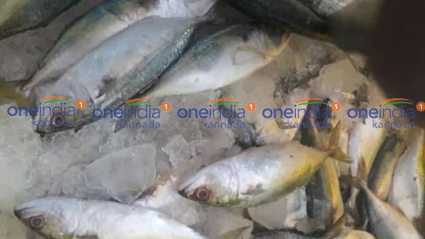 ಫೆ.05ರ ಪೇಟೆ ಧಾರಣೆ: ಮೀನು, ತರಕಾರಿ, ರಸಗೊಬ್ಬರ ಬೆಲೆ