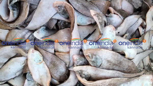 ಮಾರ್ಚ್ 03ರ ಮೀನು, ತರಕಾರಿ, ರಬ್ಬರ್ ಹಾಗೂ ರಸಗೊಬ್ಬರ ಪೇಟೆ ಧಾರಣೆ ಮಾರ್ಚ್ 03ರ ಮೀನು, ತರಕಾರಿ, ರಬ್ಬರ್ ಹಾಗೂ ರಸಗೊಬ್ಬರ ಪೇಟೆ ಧಾರಣೆ