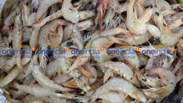 ಮಾರ್ಚ್ 07ರ ಮೀನು, ತರಕಾರಿ, ರಬ್ಬರ್ ಹಾಗೂ ರಸಗೊಬ್ಬರ ಪೇಟೆ ಧಾರಣೆ ಮಾರ್ಚ್ 07ರ ಮೀನು, ತರಕಾರಿ, ರಬ್ಬರ್ ಹಾಗೂ ರಸಗೊಬ್ಬರ ಪೇಟೆ ಧಾರಣೆ