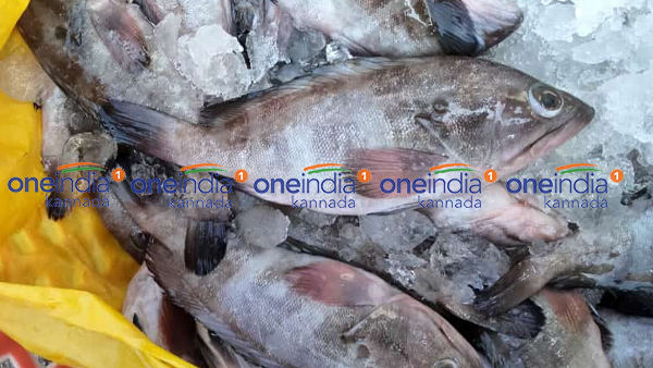 ಮಾರ್ಚ್ 09ರ ಮೀನು, ತರಕಾರಿ, ರಬ್ಬರ್ ಹಾಗೂ ರಸಗೊಬ್ಬರ ಪೇಟೆ ಧಾರಣೆ ಮಾರ್ಚ್ 09ರ ಮೀನು, ತರಕಾರಿ, ರಬ್ಬರ್ ಹಾಗೂ ರಸಗೊಬ್ಬರ ಪೇಟೆ ಧಾರಣೆ