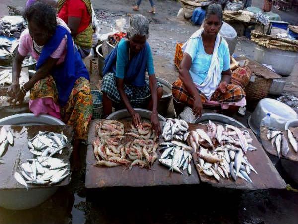 ಏಪ್ರಿಲ್ 22ರ ಮೀನು, ತರಕಾರಿ, ರಬ್ಬರ್ ಹಾಗೂ ರಸಗೊಬ್ಬರ ಪೇಟೆ ಧಾರಣೆ ಏಪ್ರಿಲ್ 22ರ ಮೀನು, ತರಕಾರಿ, ರಬ್ಬರ್ ಹಾಗೂ ರಸಗೊಬ್ಬರ ಪೇಟೆ ಧಾರಣೆ