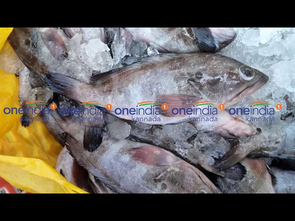 ಏಪ್ರಿಲ್ 18ರ ಮೀನು, ತರಕಾರಿ, ರಬ್ಬರ್ ಹಾಗೂ ರಸಗೊಬ್ಬರ ಪೇಟೆ ಧಾರಣೆ ಏಪ್ರಿಲ್ 18ರ ಮೀನು, ತರಕಾರಿ, ರಬ್ಬರ್ ಹಾಗೂ ರಸಗೊಬ್ಬರ ಪೇಟೆ ಧಾರಣೆ