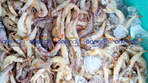 ಏಪ್ರಿಲ್ 20ರ ಮೀನು, ತರಕಾರಿ, ರಬ್ಬರ್ ಹಾಗೂ ರಸಗೊಬ್ಬರ ಪೇಟೆ ಧಾರಣೆ ಏಪ್ರಿಲ್ 20ರ ಮೀನು, ತರಕಾರಿ, ರಬ್ಬರ್ ಹಾಗೂ ರಸಗೊಬ್ಬರ ಪೇಟೆ ಧಾರಣೆ