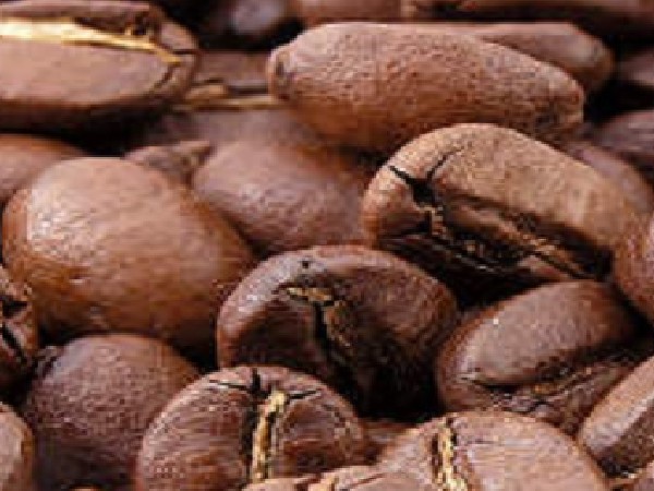  ಮಲೆನಾಡು ಕಾಫಿ