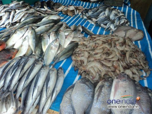  ಮೇ 30ರ ಮೀನು, ತರಕಾರಿ, ರಬ್ಬರ್  ಹಾಗೂ ರಸಗೊಬ್ಬರ ಪೇಟೆ ಧಾರಣೆ