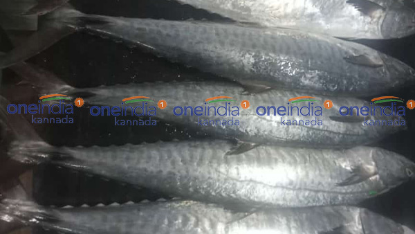 ಮಂಗಳೂರು ಬಂದರಿನಲ್ಲಿ ಮೀನುಗಳ ದರ