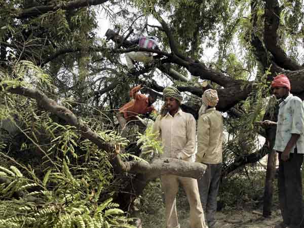 ಸಬ್ಸಿಡಿ ಮೇಲೆ ಗೋಬರ್ ಗ್ಯಾಸ್ 