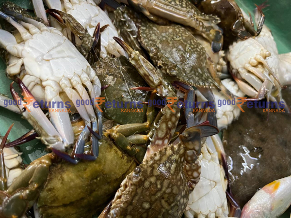  ಮಂಗಳೂರು ಬಂದರಿನಲ್ಲಿ ಮೀನುಗಳ ದರ: ಜೂನ್ 29 (ಕೆಜಿ)