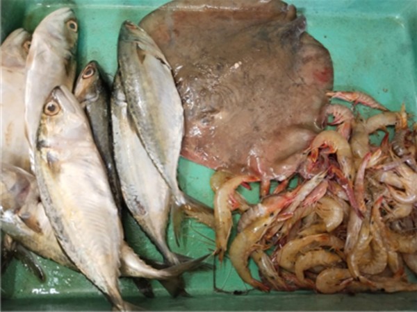  ಜೂ. 3ರ ಮೀನು, ತರಕಾರಿ, ರಬ್ಬರ್  ಹಾಗೂ ರಸಗೊಬ್ಬರ ಪೇಟೆ ಧಾರಣೆ