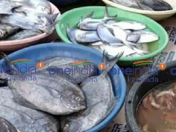  ಇತರೆ ಮೀನುಗಳ ದರ